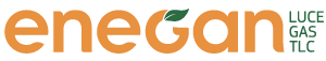 Logo Enegan TLC_1-100