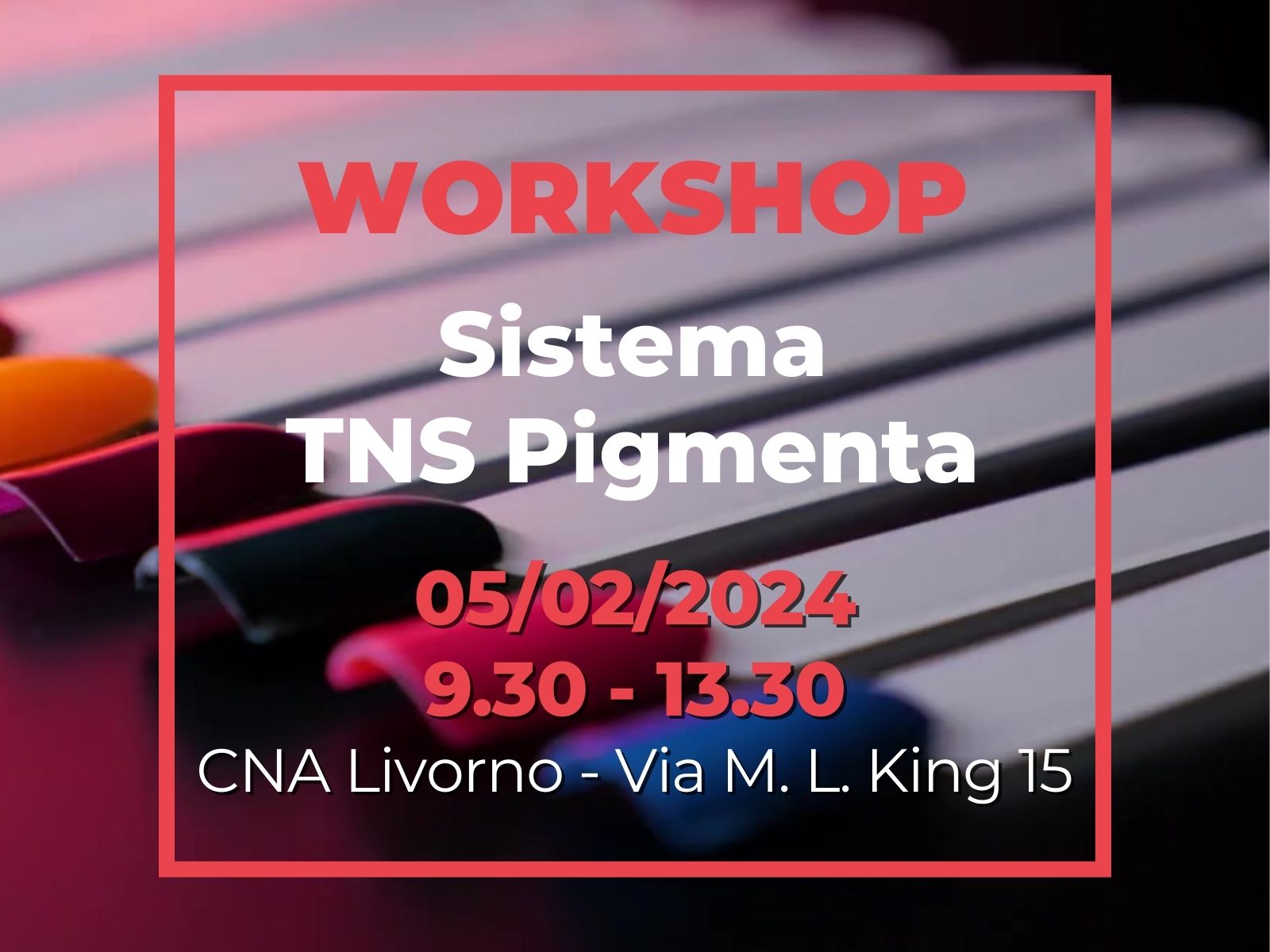 workshop TNS Pigmenta 05/02/2024