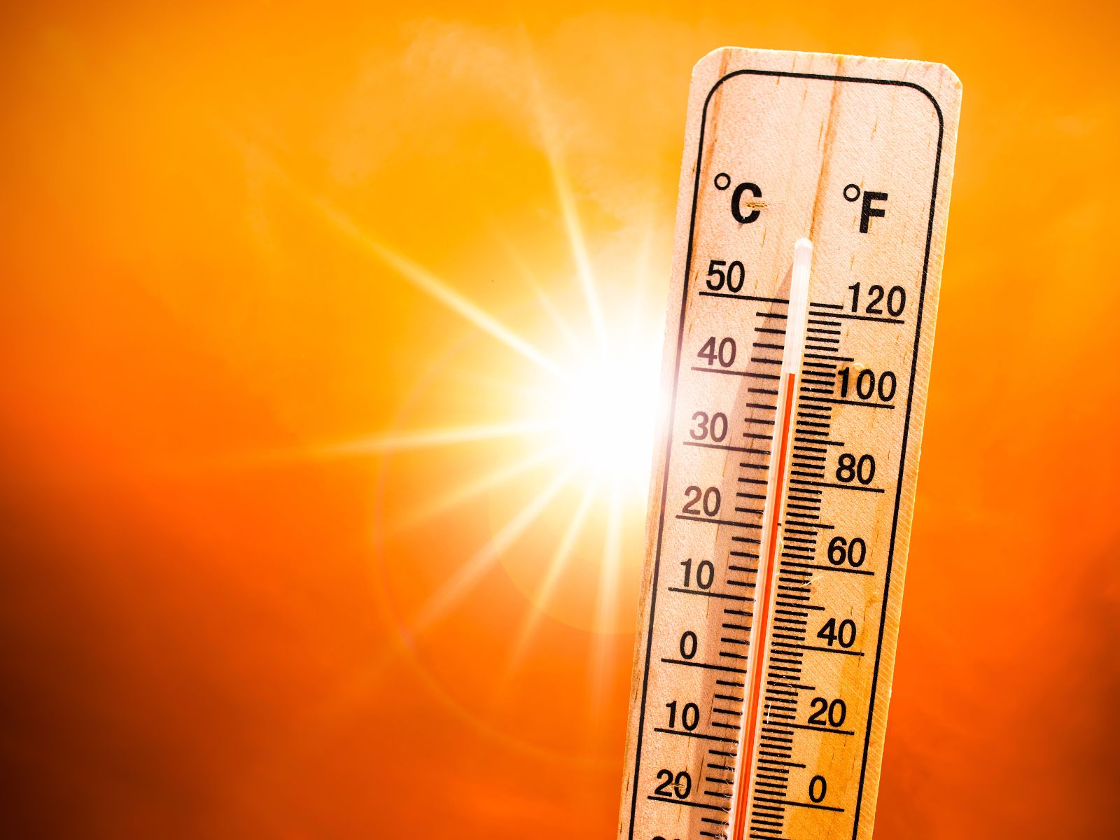 Emergenza caldo